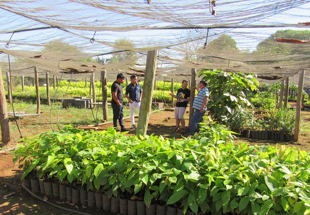 Projeto fortalecerá cadeias produtivas da sociobiodiversidade em Rondônia
