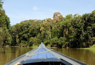 No Dia da Amazônia, conheça o trabalho da Ecam