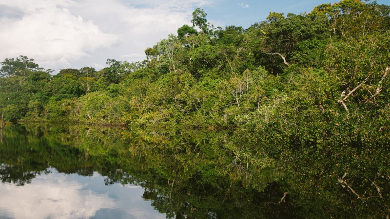 Amazônia Legal e a atuação do Compartilhando Mundos