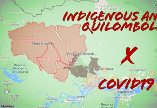 Maps show the vulnerability of traditional communities in the Amazon in the face of the COVID-19 pandemic