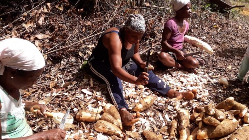 BAHIA: BOAS PRÁTICAS DA AGRICULTURA FAMILIAR QUILOMBOLA
