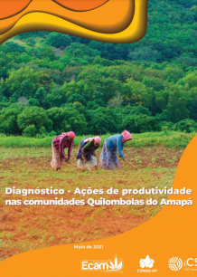 Diagnóstico – Ações de Produtividade nas Comunidades Quilombolas do Amapá