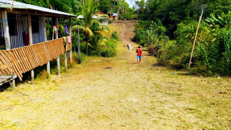 Estudo mostra realidade das ações de produtividade nas comunidades quilombolas do Amapá