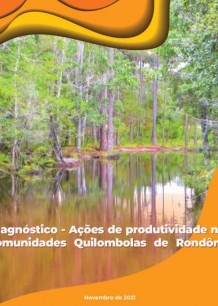 Diagnóstico – Ações de produtividade nas comunidades Quilombolas de Rondônia