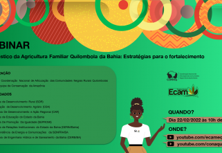 Bahia realiza incidência política a partir dos dados do diagnóstico da Agricultura Familiar Quilombola
