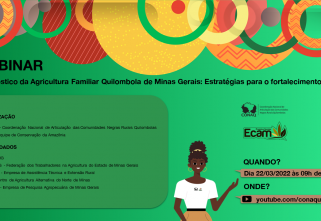 Webinar Minas Gerais – Diagnóstico Agricultura Familiar Quilombola: Estratégias para o fortalecimento