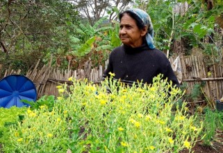 Agricultura Familiar Quilombola é tema de webinars realizados pela Ecam