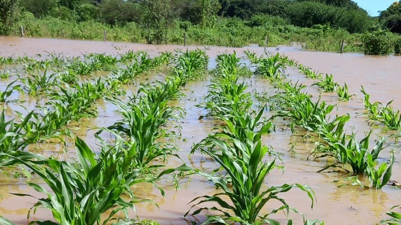 Enchentes provocam perdas nos quilombos e Iniciativa da Agricultura Familiar Quilombola realiza levantamentos de dados