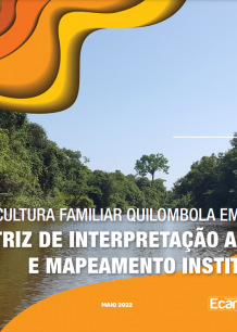 AGRICULTURA FAMILIAR QUILOMBOLA EM RONDÔNIA: MATRIZ DE INTERPRETAÇÃO ANALÍTICA E MAPEAMENTO INSTITUCIONAL