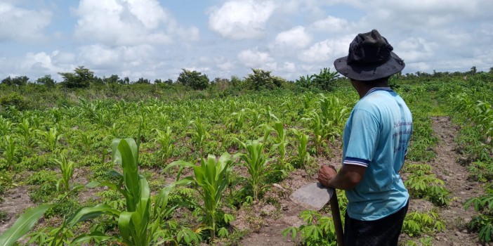 Iniciativa da Agricultura Familiar Quilombola realiza segunda rodada de webinars estaduais