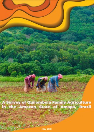 EN – A Survey of Quilombola Family Agriculture in the amazon State of Amapa, Brazil