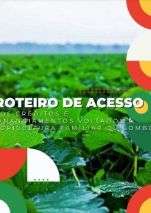 Roteiro de acesso aos créditos e financiamentos voltados à Agricultura Familiar Quilombola 