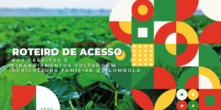 Confira estudo sobre acesso a créditos e financiamentos para fomento da agricultura familiar quilombola