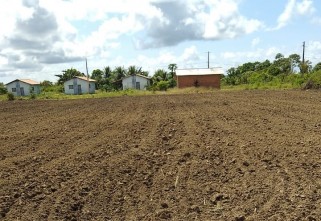 Agricultura Familiar Quilombola: projeto realiza ações para geração de renda em comunidades do Amapá