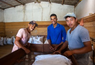 ReSeed chega ao Brasil com soluções baseadas na natureza e inserção de pequenos agricultores no Mercado de Carbono em parceria com a Dengo Chocolates