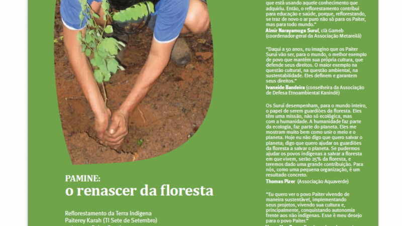 Pamine: O Renascer da Floresta