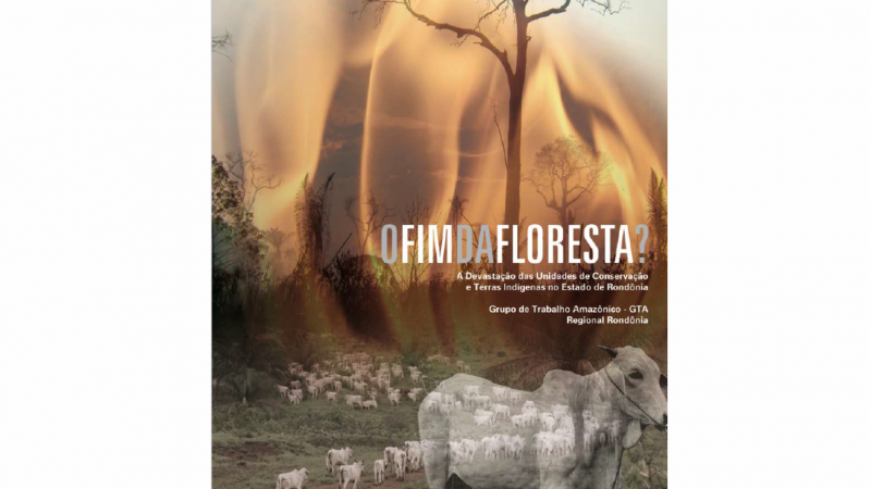 O Fim da Floresta