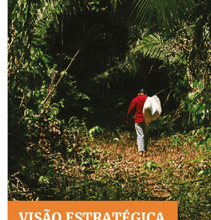 Visão Estratégica da Sociobiodiversidade no Centro Sul de Rondônia
