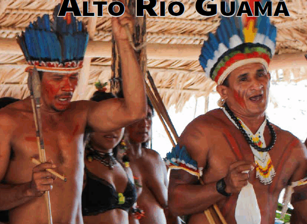 Plano de Gestão da Terra Indígena Alto Rio Guamá