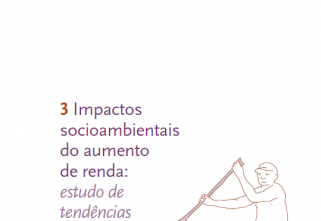 Impactos socioambientais do aumento de renda – estudo de tendências