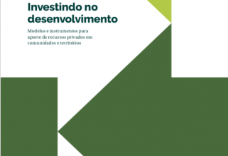 Investindo no desenvolvimento  –  Modelos e instrumentos para aporte de recursos privados em comunidades e territórios