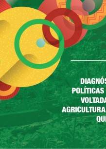 Diagnóstico das políticas públicas voltadas para a agricultura familiar quilombola