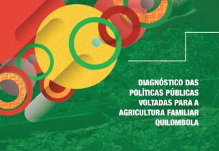 Diagnóstico das políticas públicas voltadas para a agricultura familiar quilombola
