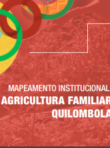 Minas Gerais – Mapeamento Institucional: Agricultura Familiar Quilombola