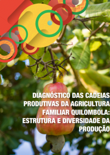 Diagnóstico das cadeias produtivas da agricultura familiar quilombola: estrutura e diversidade da produção