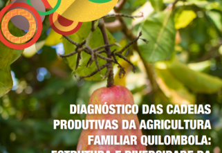 Diagnóstico das cadeias produtivas da agricultura familiar quilombola: estrutura e diversidade da produção