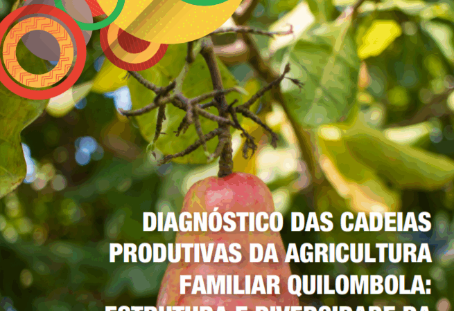 Diagnóstico das cadeias produtivas da agricultura familiar quilombola: estrutura e diversidade da produção