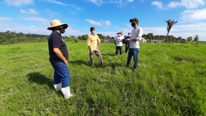 Programa Pecuária Sustentável atende mais de 40 fazendas no Pará