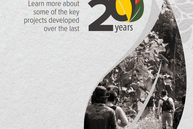 Portfolio: Ecam 20 years