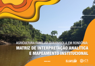 AGRICULTURA FAMILIAR QUILOMBOLA EM RONDÔNIA: MATRIZ DE INTERPRETAÇÃO ANALÍTICA E MAPEAMENTO INSTITUCIONAL