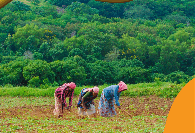 EN – A Survey of Quilombola Family Agriculture in the amazon State of Amapa, Brazil