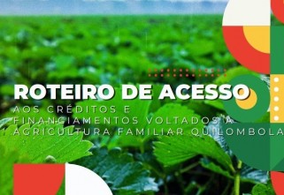 Roteiro de acesso aos créditos e financiamentos voltados à Agricultura Familiar Quilombola 