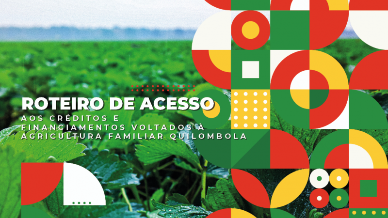 Confira estudo sobre acesso a créditos e financiamentos para fomento da agricultura familiar quilombola