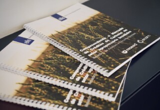 Embaixada do Reino dos Países Baixos Reúne Lideranças para Lançar Estudo sobre Inserção do Agro Brasileiro no Mercado de Carbono