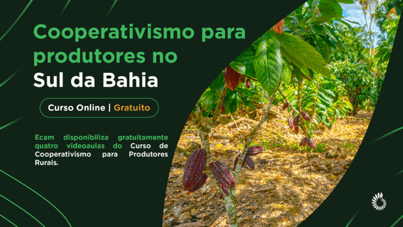 Curso de Cooperativismo para Produtores Rurais já está disponível na íntegra
