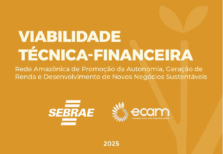 Manual 1 – Viabilidade Técnica e Financeira | Ecam e Sebrae