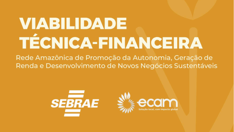 Manual 1 – Viabilidade Técnica e Financeira | Ecam e Sebrae