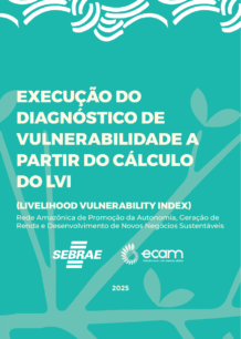 Manual 5 – Índice de Vulnerabilidade Local (LVI) | Ecam e Sebrae