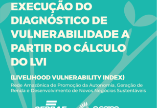 Manual 5 – Índice de Vulnerabilidade Local (LVI) | Ecam e Sebrae