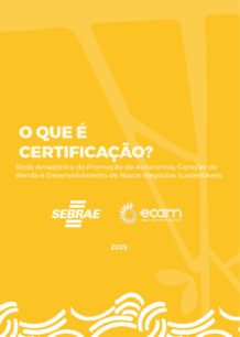 Manual 6 – Certificação de Projeto de Carbono | Ecam e Sebrae