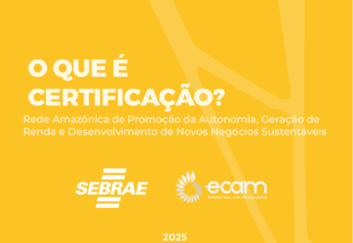 Manual 6 – Certificação de Projeto de Carbono | Ecam e Sebrae
