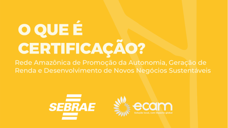 Manual 6 – Certificação de Projeto de Carbono | Ecam e Sebrae