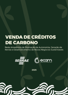 Manual 9 – Comercialização de Créditos de Carbono | Ecam e Sebrae