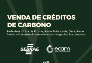 Manual 9 – Comercialização de Créditos de Carbono | Ecam e Sebrae