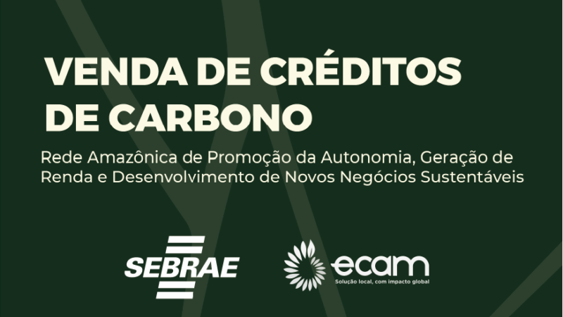 Manual 9 – Comercialização de Créditos de Carbono | Ecam e Sebrae