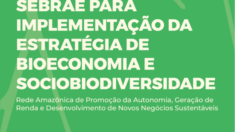 Manual Bônus – Implantação da Estratégia de Bioeconomia e Sociodiversidade | Ecam e Sebrae